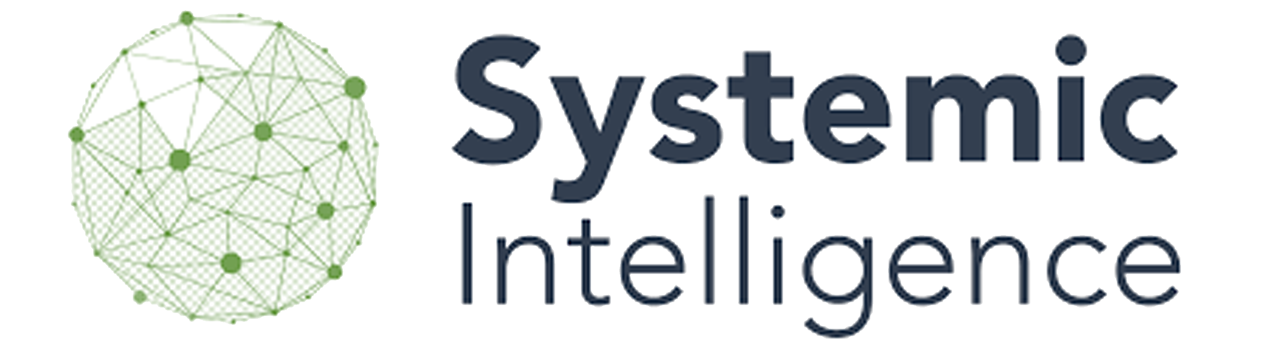 Systemic Intelligence